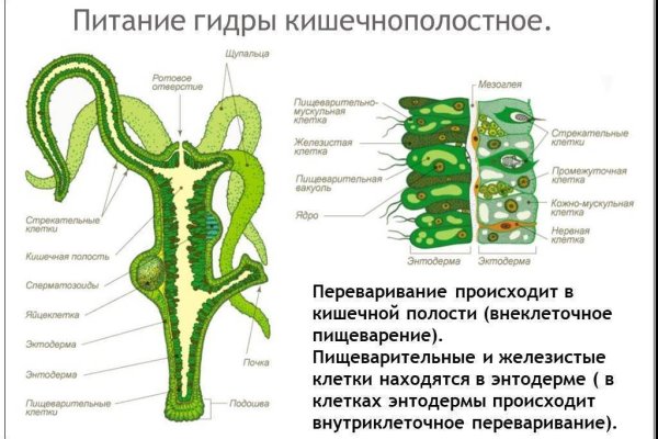 Как войти в даркнет