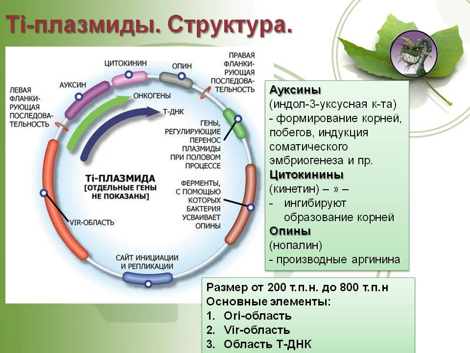 Ссылка на кракен kr2web in