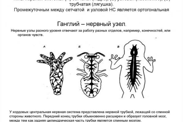 Площадка кракен 2krnk biz